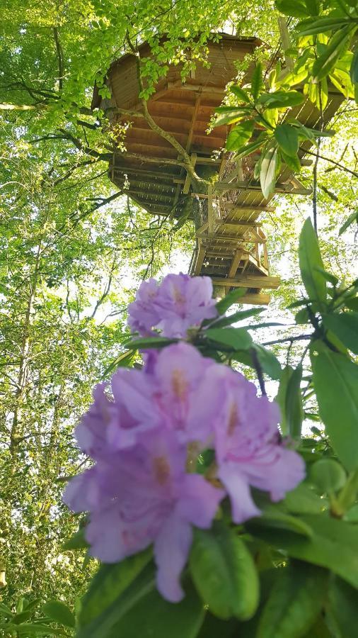 Le Domaine De Wail - Legends Resort Rum bild